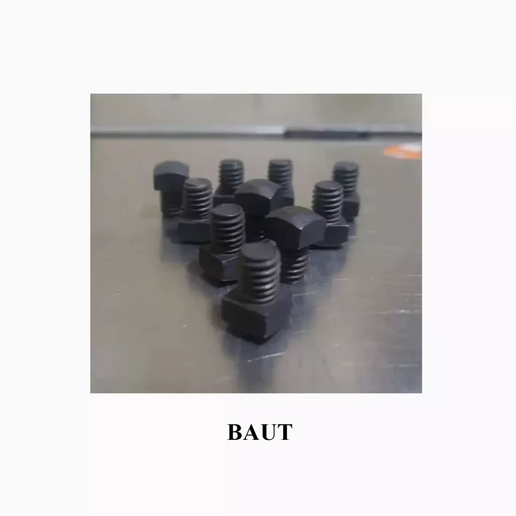 BAUT