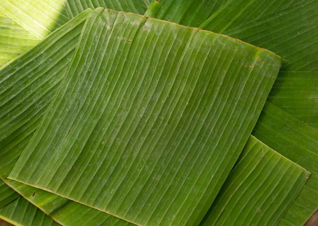 Cara Ekspor Daun Pisang